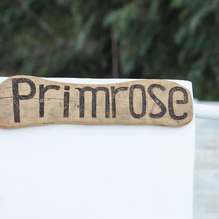 Primrose Apartments Astypálaia Zewnętrze zdjęcie